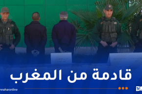 غليزان.. تفكيك شبكة إجرامية عابرة للحدود وحجز 67 كلغ كيف