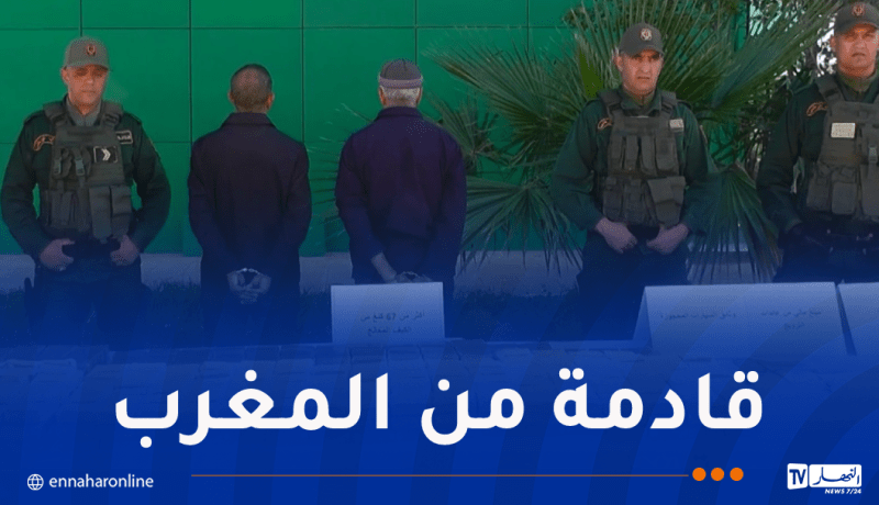 غليزان.. تفكيك شبكة إجرامية عابرة للحدود وحجز 67 كلغ كيف
