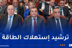 تنصيب اللجنة المشتركة بين القطاعات للتحكم في الطاقة