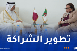 الجزائر-قطر.. آفاق واعدة للتعاون في قطاع التكوين المهني