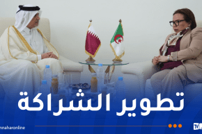 الجزائر-قطر.. آفاق واعدة للتعاون في قطاع التكوين المهني