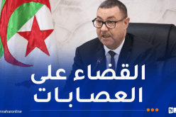 تنصيب لجنة وطنية للوقاية من عصابات الأحياء وهذه مهامها