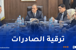 تنصيب مجلس التوجيه الخاص بالهيئة الجزائرية للصادرات