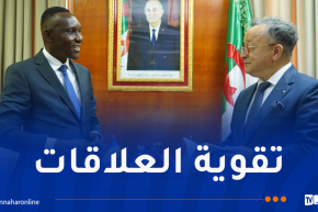 وزير التعليم العالي يستقبل نظيره التشادي