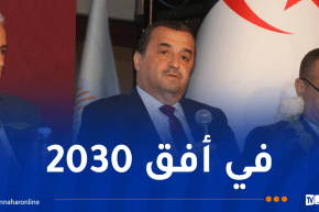 عرقاب: رؤية الجزائر تقوم على التحول إلى قطب طاقوي إقليمي