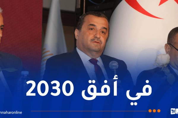 عرقاب: رؤية الجزائر تقوم على التحول إلى قطب طاقوي إقليمي