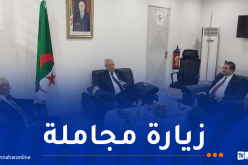 ناصري يلتقي بأعضاء سفارة الجزائر بالعاصمة الكونغولية