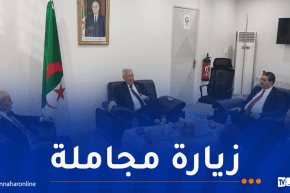 ناصري يلتقي بأعضاء سفارة الجزائر بالعاصمة الكونغولية