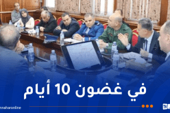 تيبازة: دخول مخطط المرور الجديد حيز التطبيق