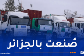 البليدة: إطلاق 6 عمليات تصدير لمنتجات محلية نحو دول أوروبية وعربية