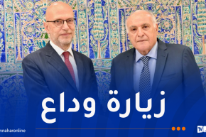 وزير الخارجية يستقبل السفير الإيطالي