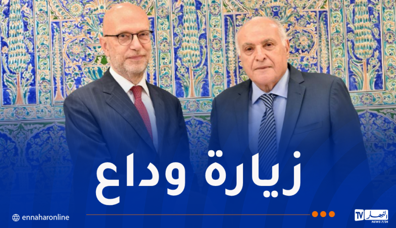 وزير الخارجية يستقبل السفير الإيطالي