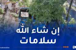 8 ضحايا إثر اصطدام شاحنة و8 سيارات بقسنطينة