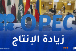 تحالف “أوبك+” يرفع إنتاج النفط بـ 206 آلاف برميل يوميا