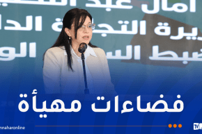 وزيرة التجارة: تخصيص محلات لممارسة النشاطات التجارية لفائدة الشباب