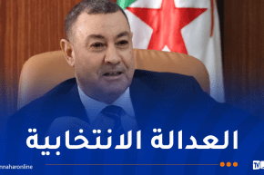 سعيود: قانون الدوائر الانتخابية سيحقق تمثيلا عادلا ومتوازنا