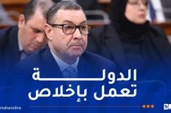 سعيود: الدولة “تعمل بشفافية على مراجعة القوانين التي تشوبها بعض النقائص”