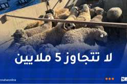 وصول أكثر من 8000 رأس غنم مستورد إلى الشلف