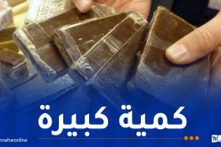 إحباط محاولة تهريب 209 كلغ من المخدرات في بني عباس