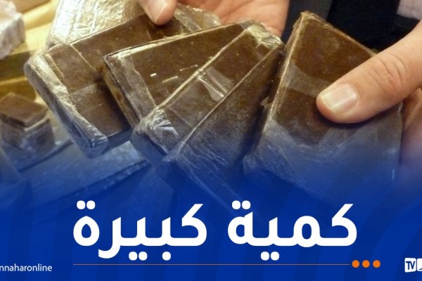 حجز أزيد من 6 ملايين قرص مهلوس وتوقيف 155 تاجر مخدرات