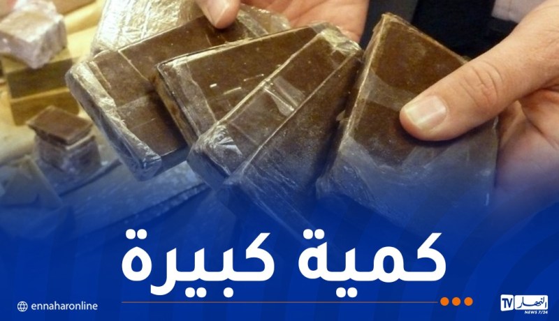 إحباط محاولة تهريب 209 كلغ من المخدرات في بني عباس