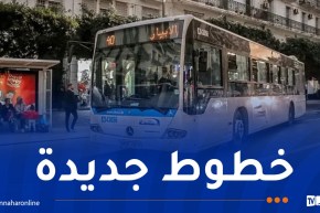 ايتوزا.. فتح 17 خطا جديدا