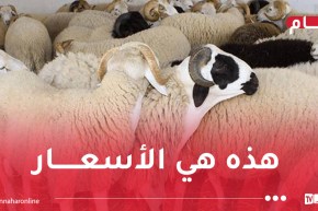 إطلاق منصة رقمية لحجز وبيع الأضاحي المستوردة