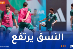 بيتكوفيتش يرفع نسق التحضيرات ويستهدف جاهزية كافة العناصر تحسبا لمواجهة هولندا