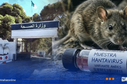 وزارة الصحة: بيان هام حول فيروس “هانتا”