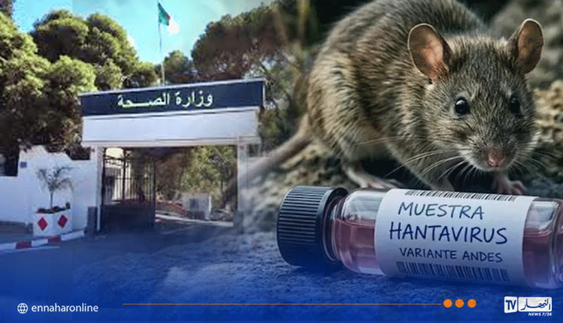 وزارة الصحة: بيان هام حول فيروس “هانتا”