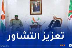 وزير الداخلية يؤكد حرص الجزائر على مواصلة تعزيز التعاون الثنائي مع النيجر