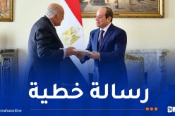 سلمه رسالة من الرئيس تبون: السيسي يستقبل وزير الخارجية عطاف في القاهرة