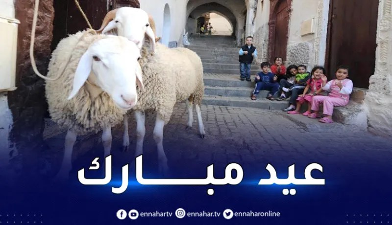 فلكيا.. هذا موعد وقفة عرفة وعيد الأضحى بالجزائر والعالم الإسلامي