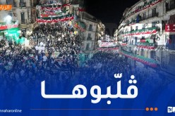 بالصور.. أنصار مولودية الجزائر يلهبون العاصمة بعد التتويج بالبطولة