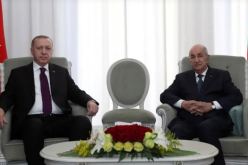 أردوغان يوشح رئيس الجمهورية بوسام مصف الدولة