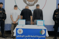 الطارف.. الإطاحة بعصابة مختصة في سرقة السيارات وتزوير وثائقها