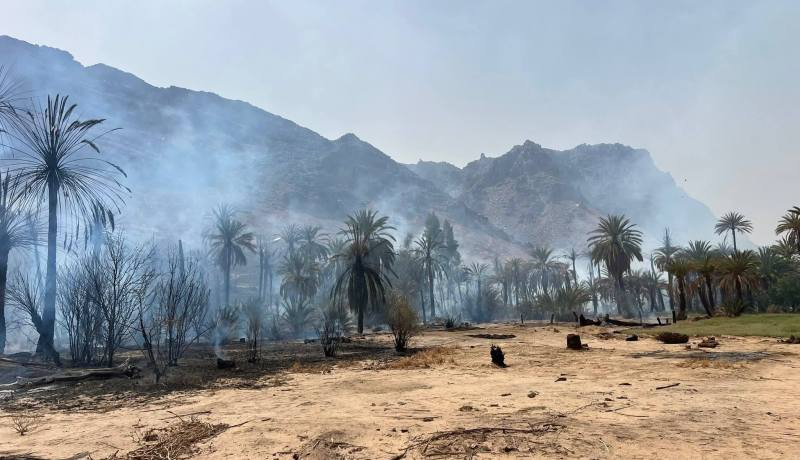 إخماد حريق نخيل بحي الأجاهيل في جانت دون خسائر بشرية