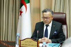بداري يشدّد على تسويق مخرجات البحث العلمي وبرمجة معارض للمنتجات البحثية
