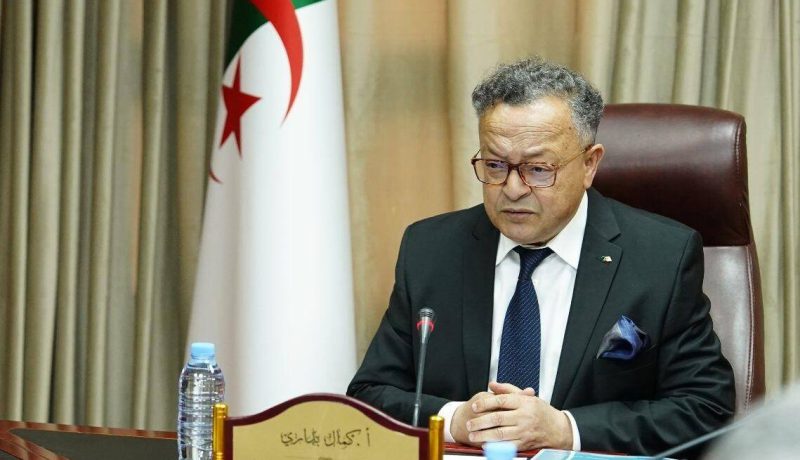 بداري يشدّد على تسويق مخرجات البحث العلمي وبرمجة معارض للمنتجات البحثية