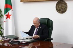 رئيس الجمهورية يوجّه بالسهر لإنجاح عملية استيراد وتوزيع الأضاحي في أحسن الظروف