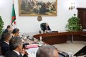 أوامر رئاسية باستغلال إمكانيات الجزائر البترولية لإنتاج البلاستيك