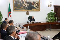 أوامر رئاسية باستغلال إمكانيات الجزائر البترولية لإنتاج البلاستيك