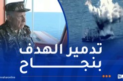 بحري وجوي: الفريق أول شنقريحة يشرف على تمرينين تكتيكيين في جيجل