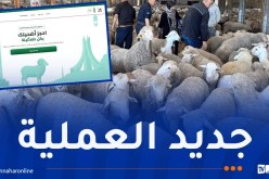 منصة أضاحي.. هذا جديد عملية استيراد المواشي