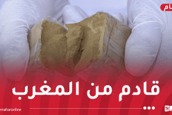 خنشلة.. ضبط قرابة قنطارين ونصف القنطار من الكيف المعالج