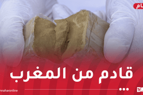 إحباط مُخطط إجرامي لتمرير 4 قناطير من الكيف لولايات الوطن