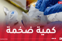 حجز أزيد من 34 كلغ كوكايين
