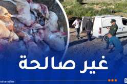 الدرك يتلف 7 رؤوس أغنام من سلالة “سيداون” بأم البواقي