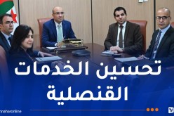 شايب يعقد لقاءً عن بعد مع أفراد الجالية بسانت بطرسبرغ الروسية