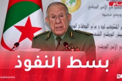 الفريق أول شنقريحة: المعضلات الأمنية في إفريقيا تتأثر بتداخل أجندات خارجية